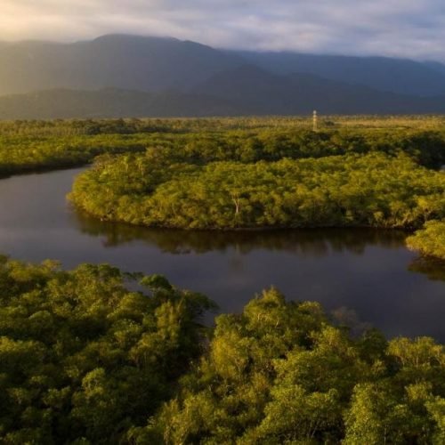 amazonas-en-peligro-punto-de-no-retorno1-