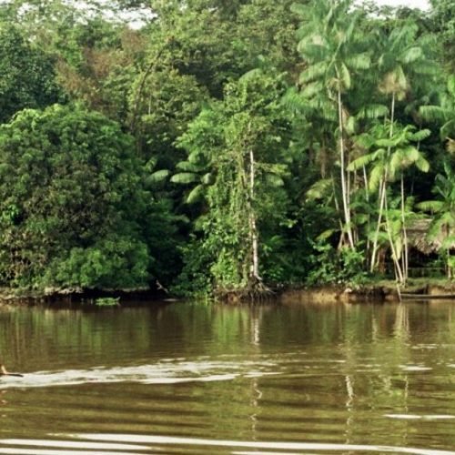 amazonas_nacimiento