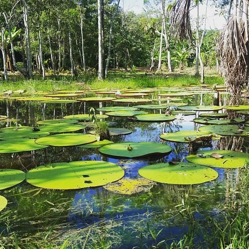 km-em-leticia-colombia